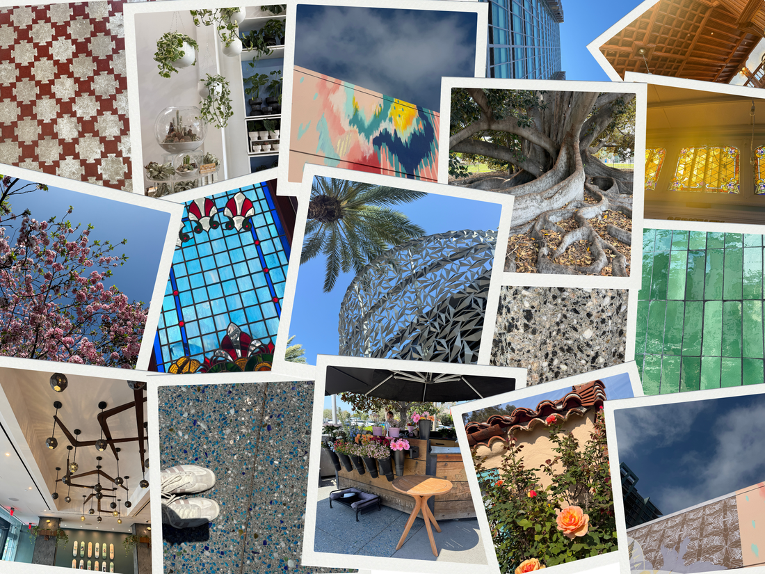 A Designer’s Eye: What Caught My Attention in San Diego